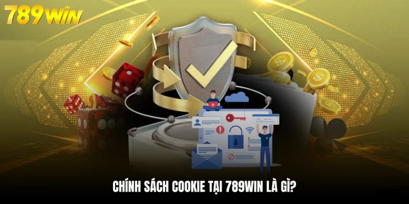 Giải thích định nghĩa về quy định cookies tại 789WIN