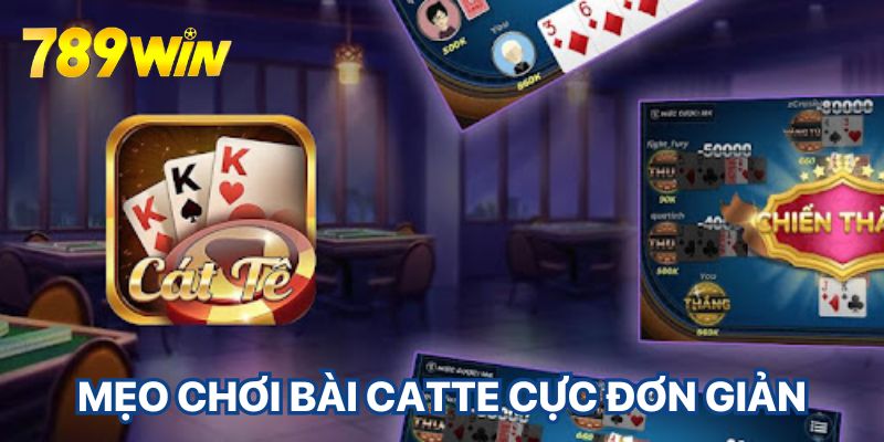 TÌm hiểu mẹo chơi bài catte cùng 789win